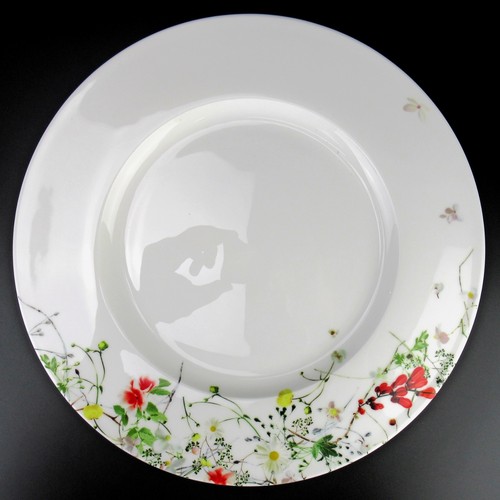 Rosenthal porzellan - rosenthal,
