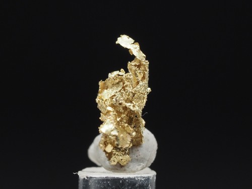 Gold ged - gold,, mina