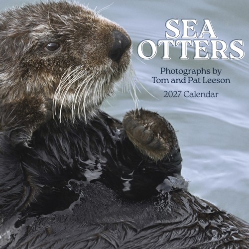Sea otters photographs tom - by,