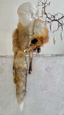 Echtpelz Fuchs Stola Kragen