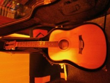 eine 12 saitige western gitarre von  HÖFNER mit koffer