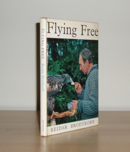 Reidar brodtkorb flying free - -,