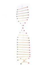 Lehrmittel Schule Holz Modell