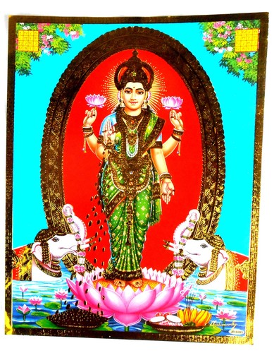 Bild vishnu hinduismus - bild,
