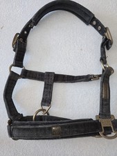 Eskadron Halfter Essence 22/23