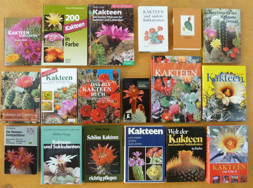 Kakteen und sukkulenten div - kakteen,