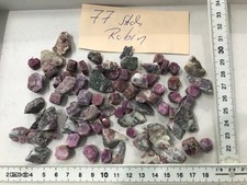 Sammlung mit 77 Stücken