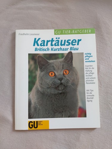 Kartäuser britisch kurzhaar - kartäuser,,
