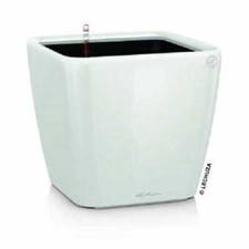 LECHUZA QUADRO Premium LS 50 Komplettset weiß hochglanz