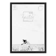 Bilderrahmen N°20 Infantasie