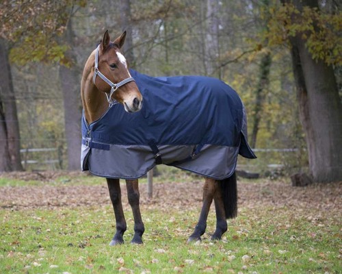 Equitheme pferde outdoordecke - pferde,
