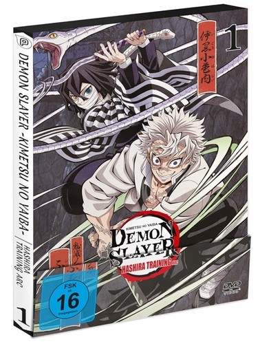 Demon slayer kimetsu yaiba - slayer:, no