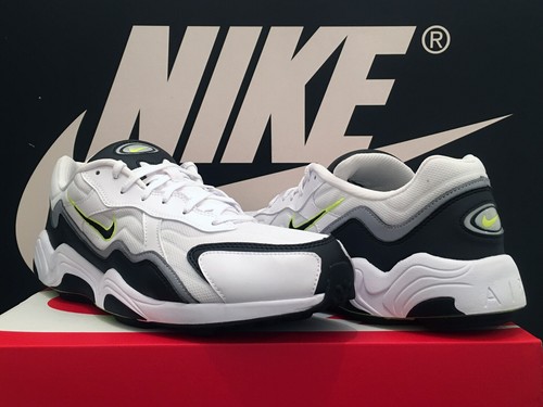 2019 nike air zoom - air,