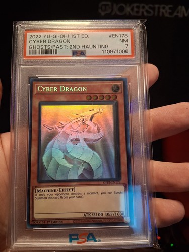 Cyber drache - cyber,