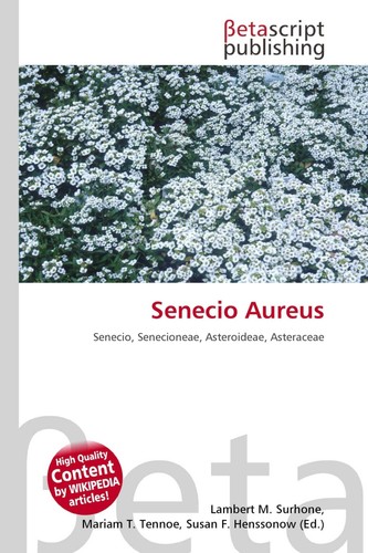 Senecio aureus mariam - mariam, t