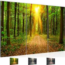 Wandbilder Wohnzimmer XXL Wald