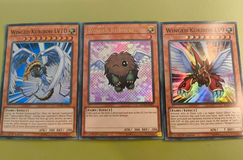 Geflügelter kuriboh und lvl - kuriboh,