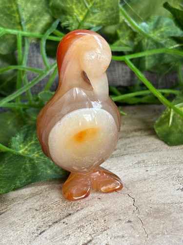 Ente vogel aus carneol - ente,