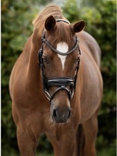 Trense schwarz mit Lack und