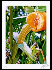 AKT NUDE Pin up NO. 732 EROTIK