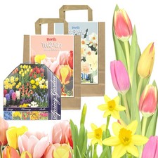 Blumenzwiebeln Sets in