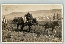 39795414 - Foto J. Gaberell