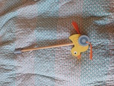 Wunderschöne Watschelente