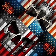 Biker Patriot Skull USA Flag