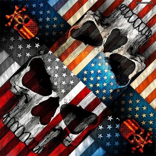 Biker patriot skull usa - biker, flag