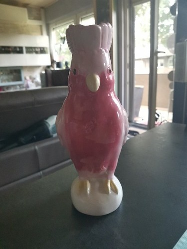 Kakadu vase von - von, kare