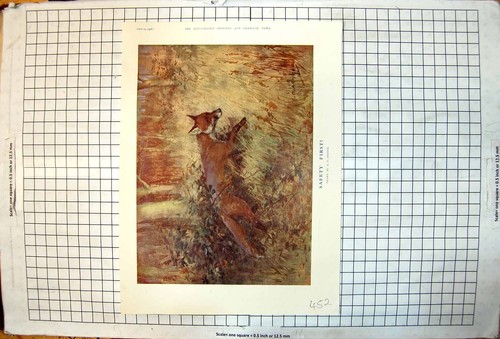 Antiker druck fox drawn - fox, gd