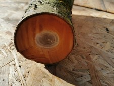 Drechselholz Bastelholz Edelholz Apfel Kirsche Eiche Mirabelle