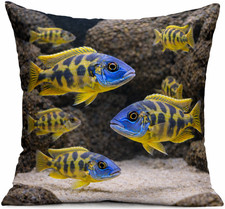 Kissen Aquarium Fische Malawis