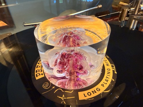 Topish record vinyl - u-topish,