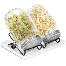 Sprossenglas set mit - set, 3