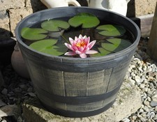 Pflanzgefäß,Pflanzwanne,Miniteich,Kunststoff,in Holzoptik,in 3 Größen 30-50 cm