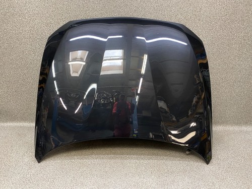 Motorhaube schwarz metallic - motorhaube,