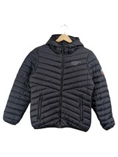 Scandinavian Explorer