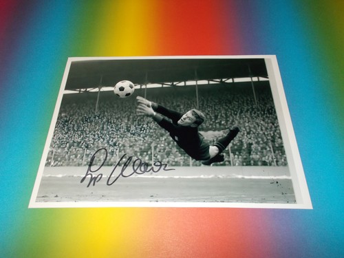 Sepp maier dfb - maier,