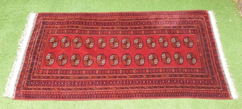 Großer afghan bokhara - großer,
