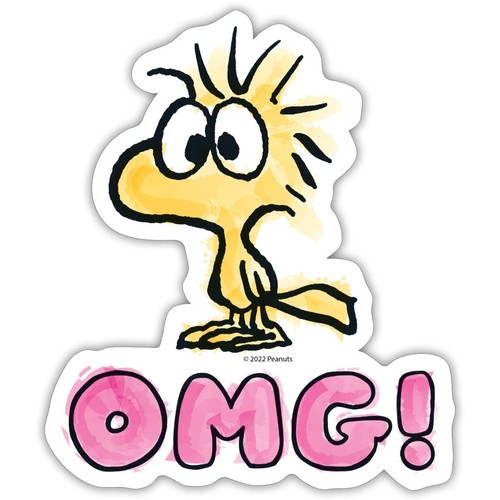 Peanuts woodstock omg - woodstock,