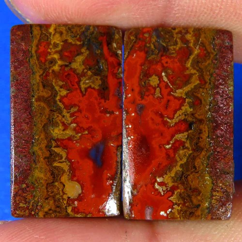 30cts 100 natürliches - 33,30cts.,