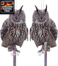 Vogelabwehr Taubenabwehr