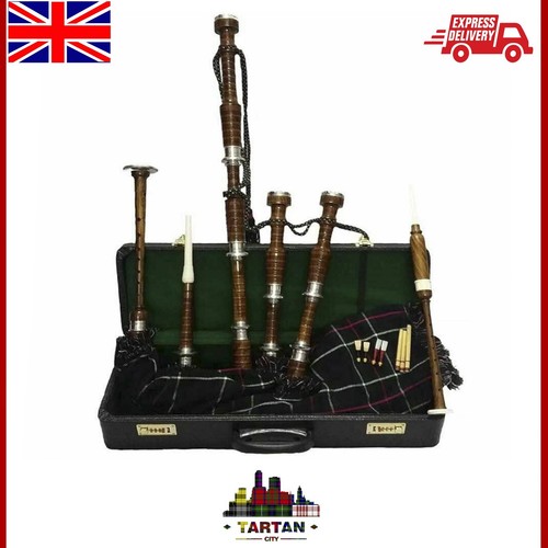 Schottische great highland - schottische,