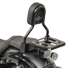 Sissy Bar CL3 für Yamaha XV