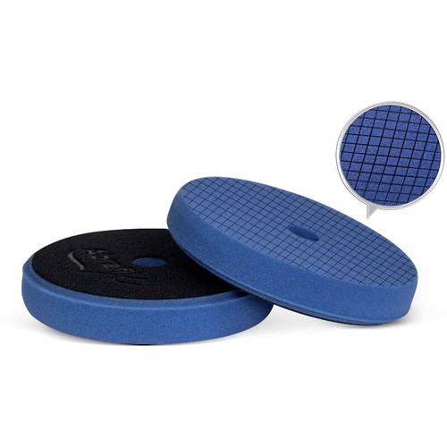 Scholl concepts spider - concepts,