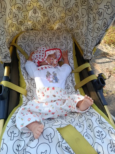 Rebornbaby hanl - rebornbaby, w.hanl