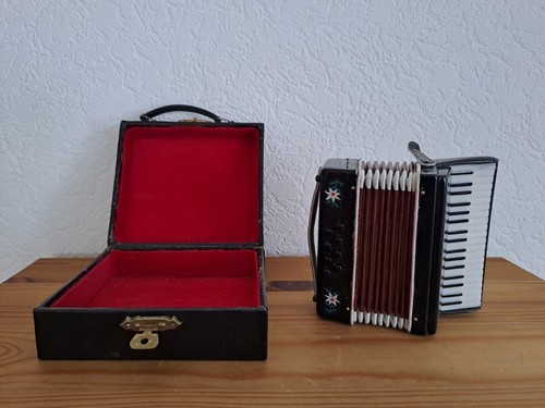 Ziehharmonika mit koffer - mit,