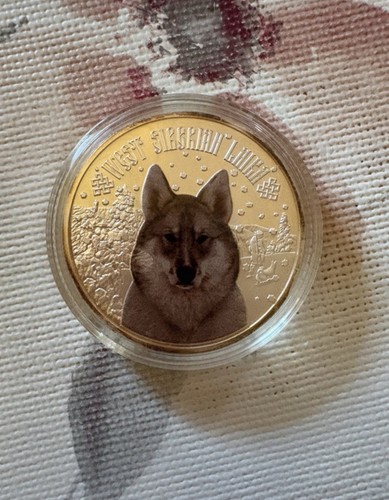 Westsibirischen laika sammle - westsibirischen,