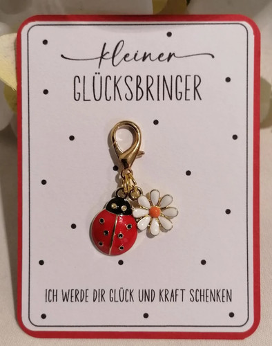 Glücksbringer geschenkidee - glücksbringer,